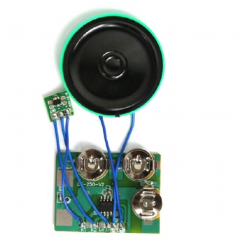 Magnetic Switch Sound Chip