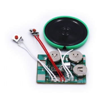 Recordable Sound Module for Toys or Gift Cards